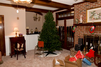 TreeTrimming_2008_03
