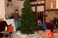 TreeTrimming_2008_07