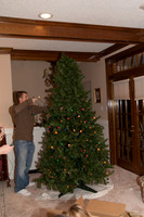 TreeTrimming_2008_14
