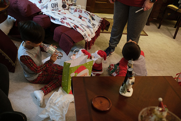 2021_MawMaw_TreeTrim-015